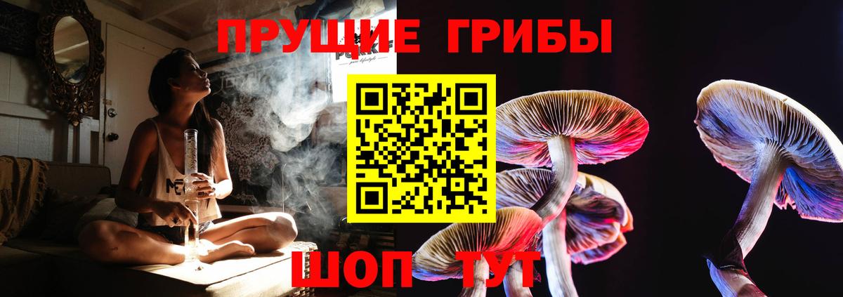 Галлюциногенные грибы прущие грибы  Псилоцибиновые грибы прущие грибы  Коломна  Вход с VPN 